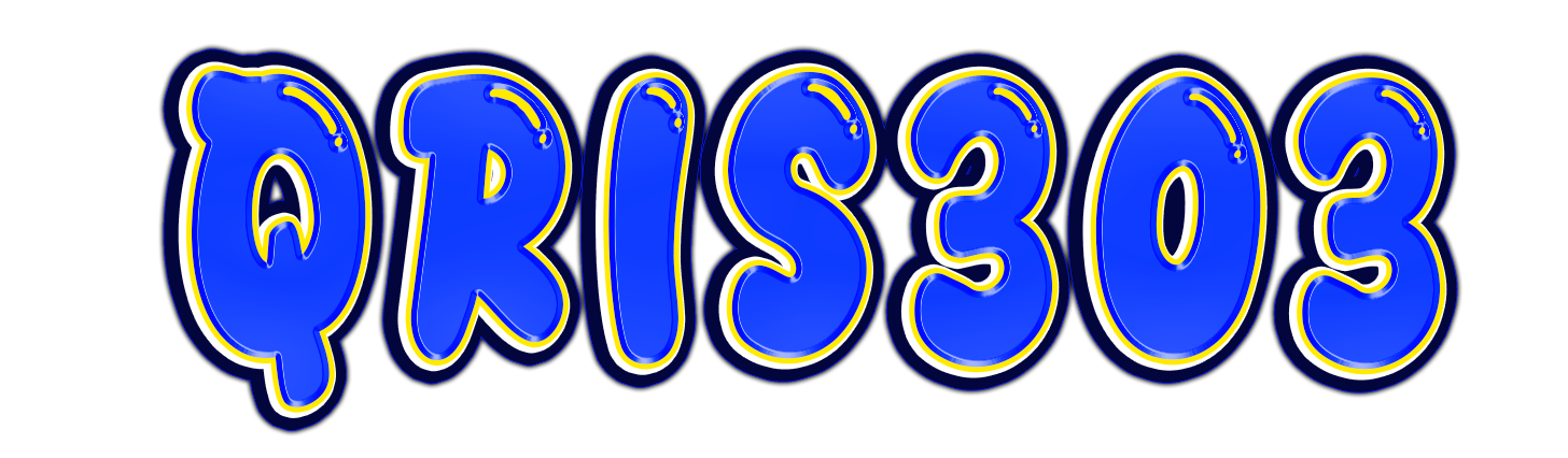 QRIS303